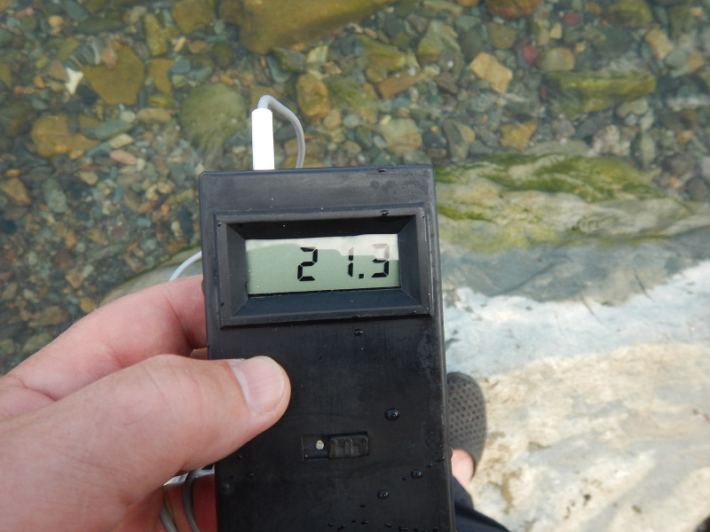 0040 м. Кедровый